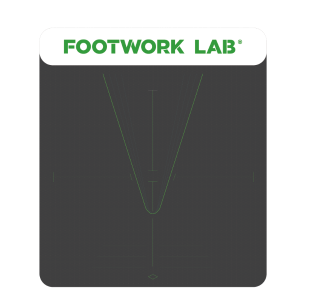 F2 Gait Scanner